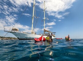Transect team in the water ©MarcBielefeld